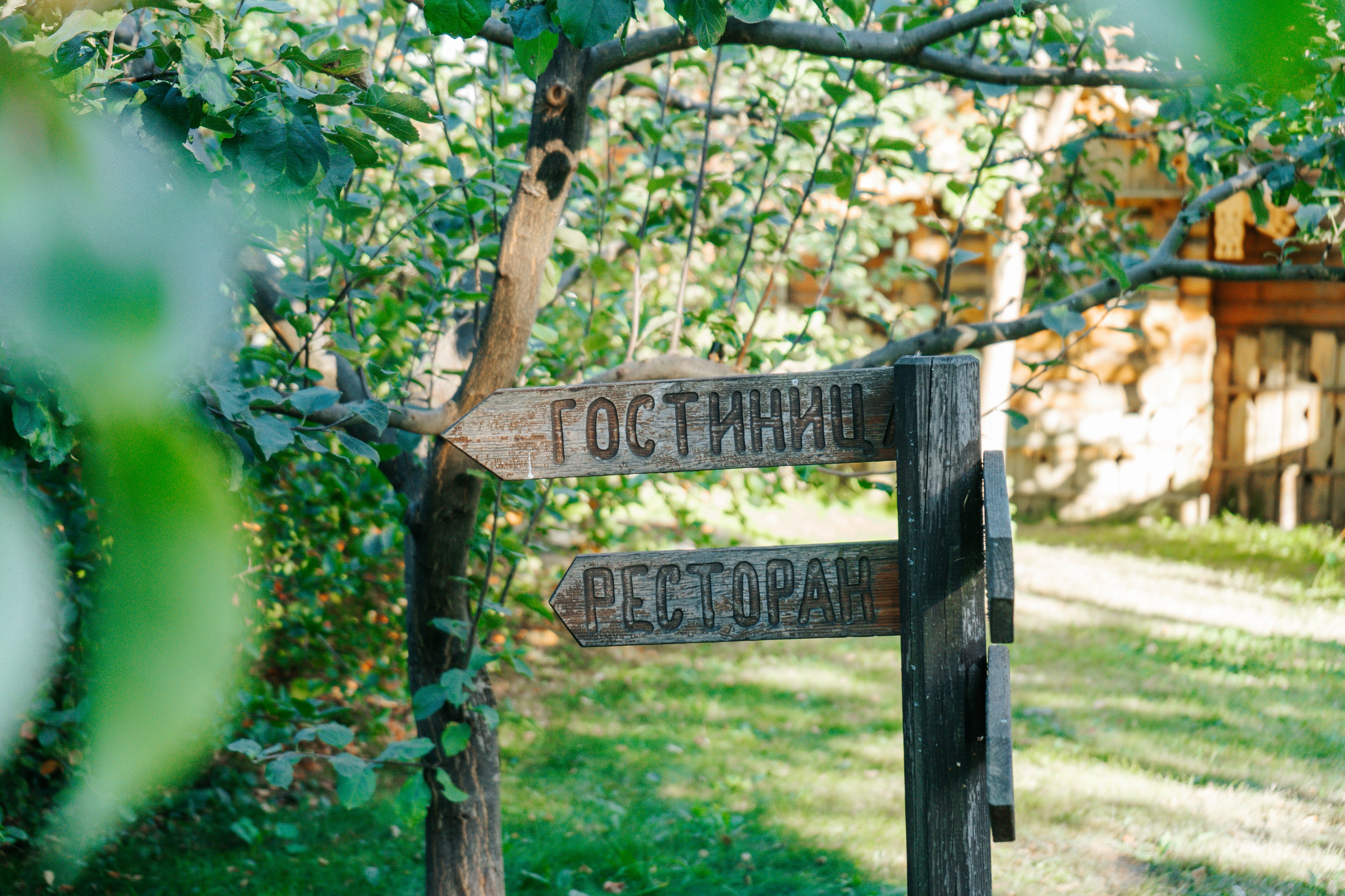 Фото Русская Деревня