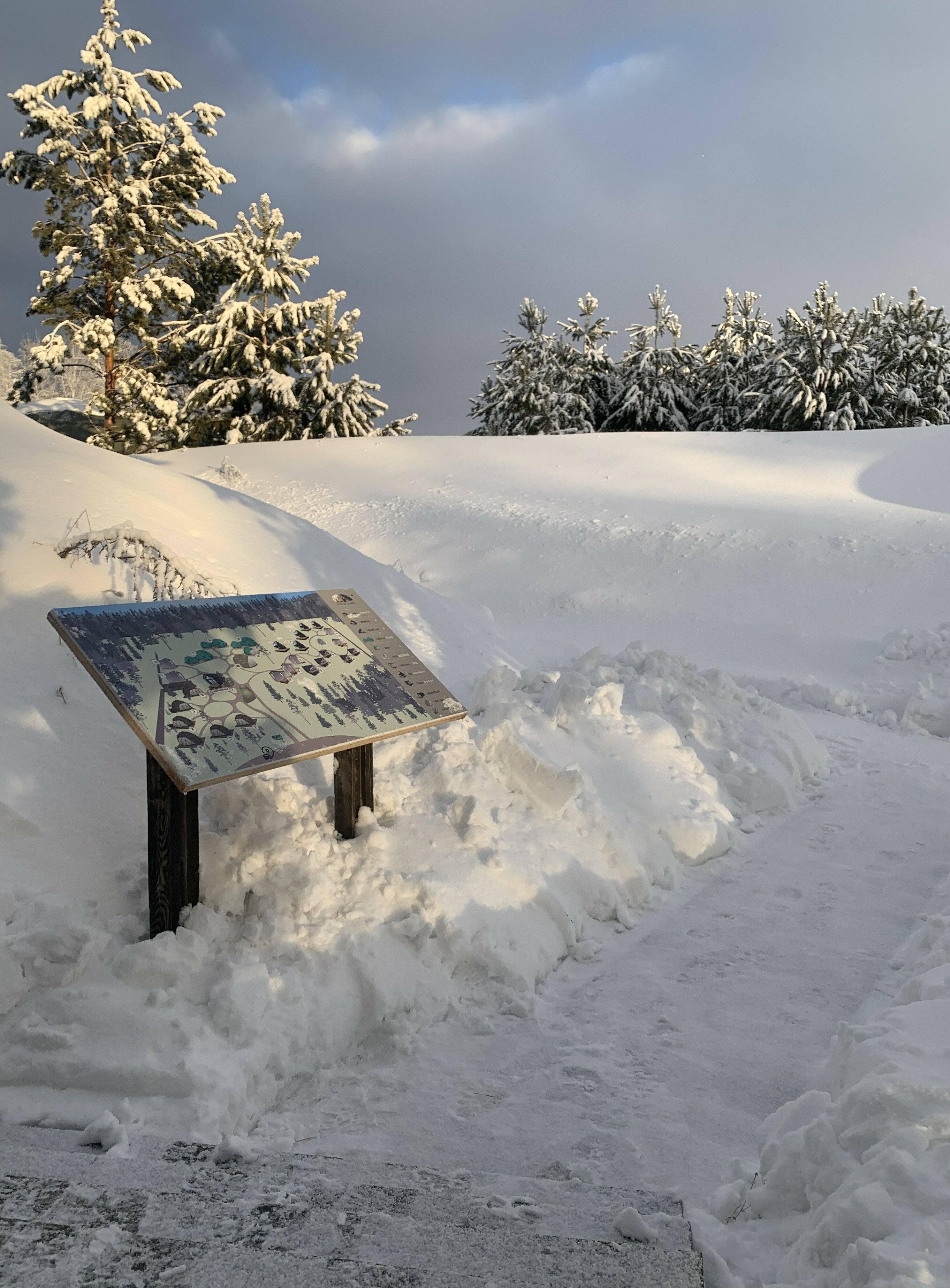 Фото Лаки Глэмпинг