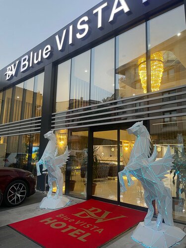 Гостиница Blue Vista Hotel & SPA в Авджиларе