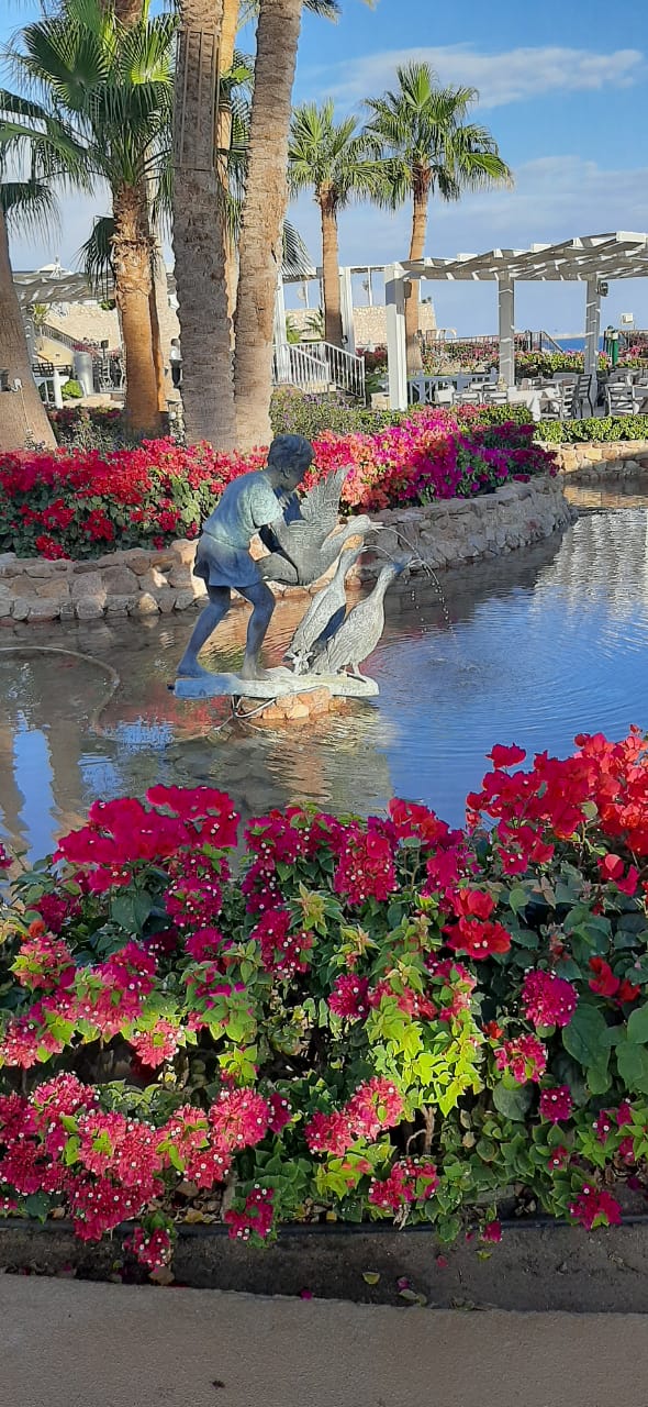 Фото Savoy Sharm El Sheikh