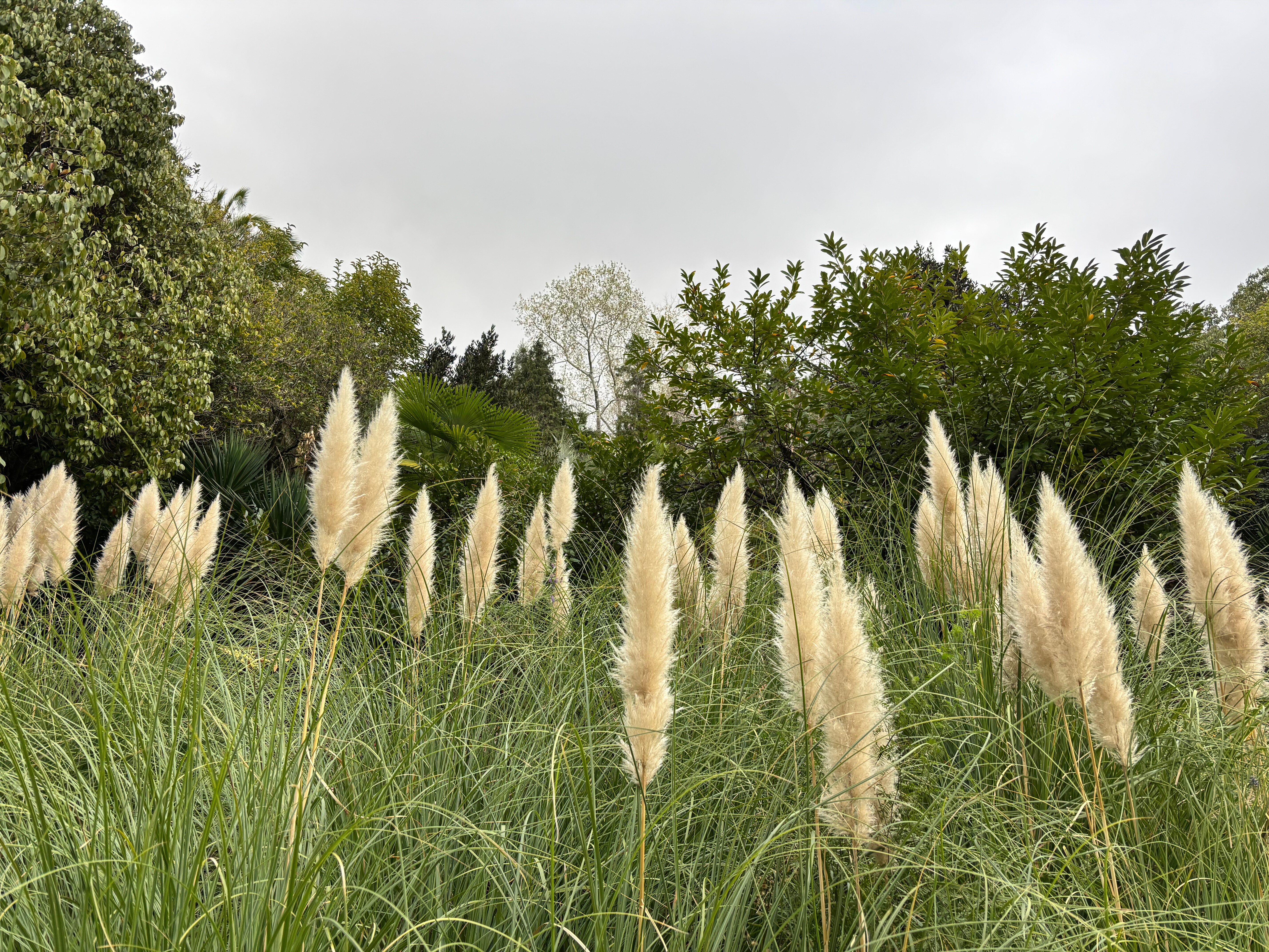 Фото Беларусь