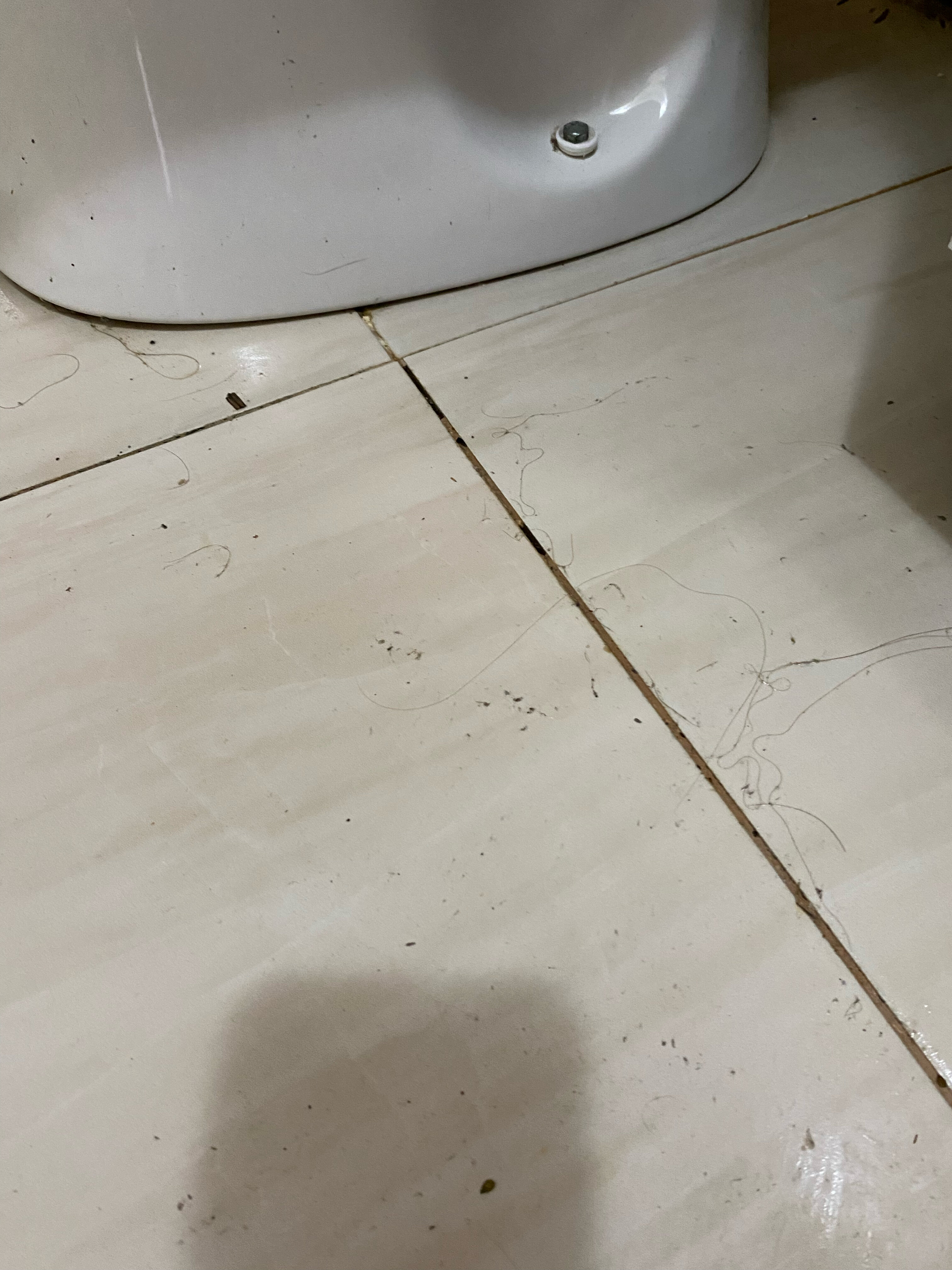 Фото У Комаровых