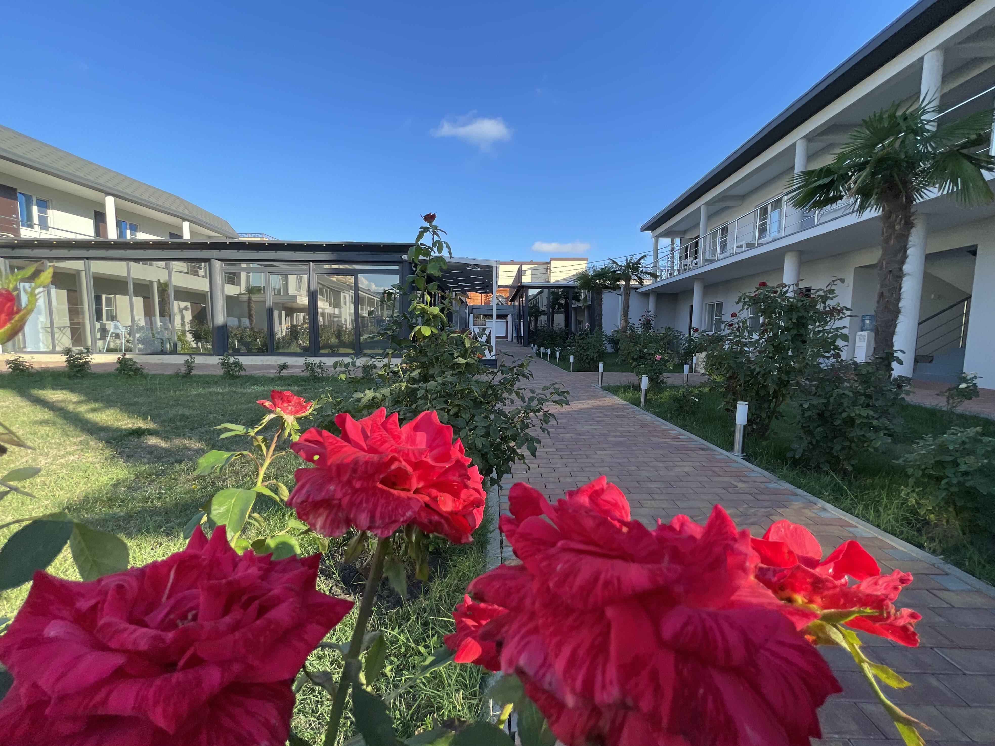 Фото Здоровье