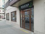 Molecula (Yuzhnaya naberezhnaya, 10), beauty salon