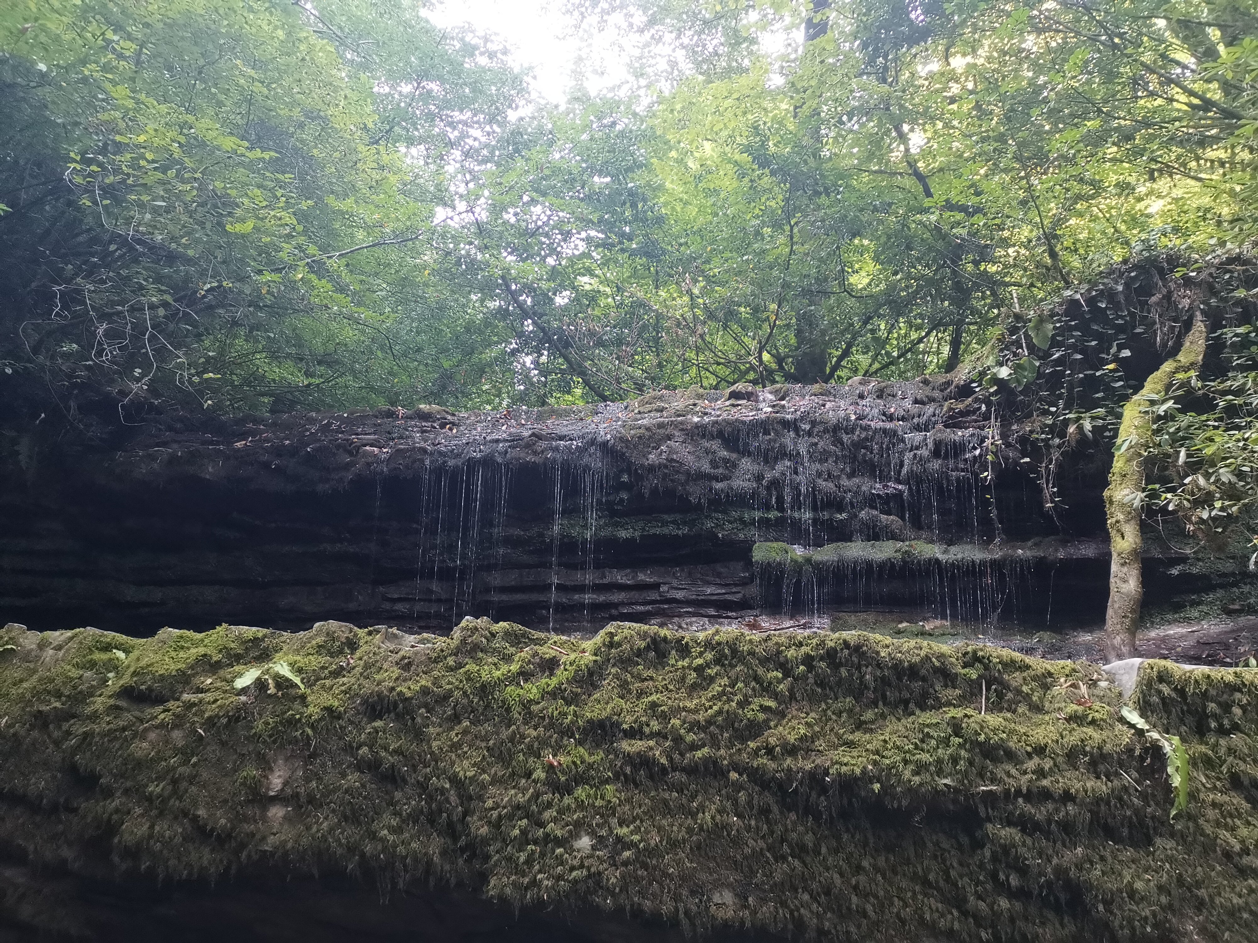 Фото Маргарита