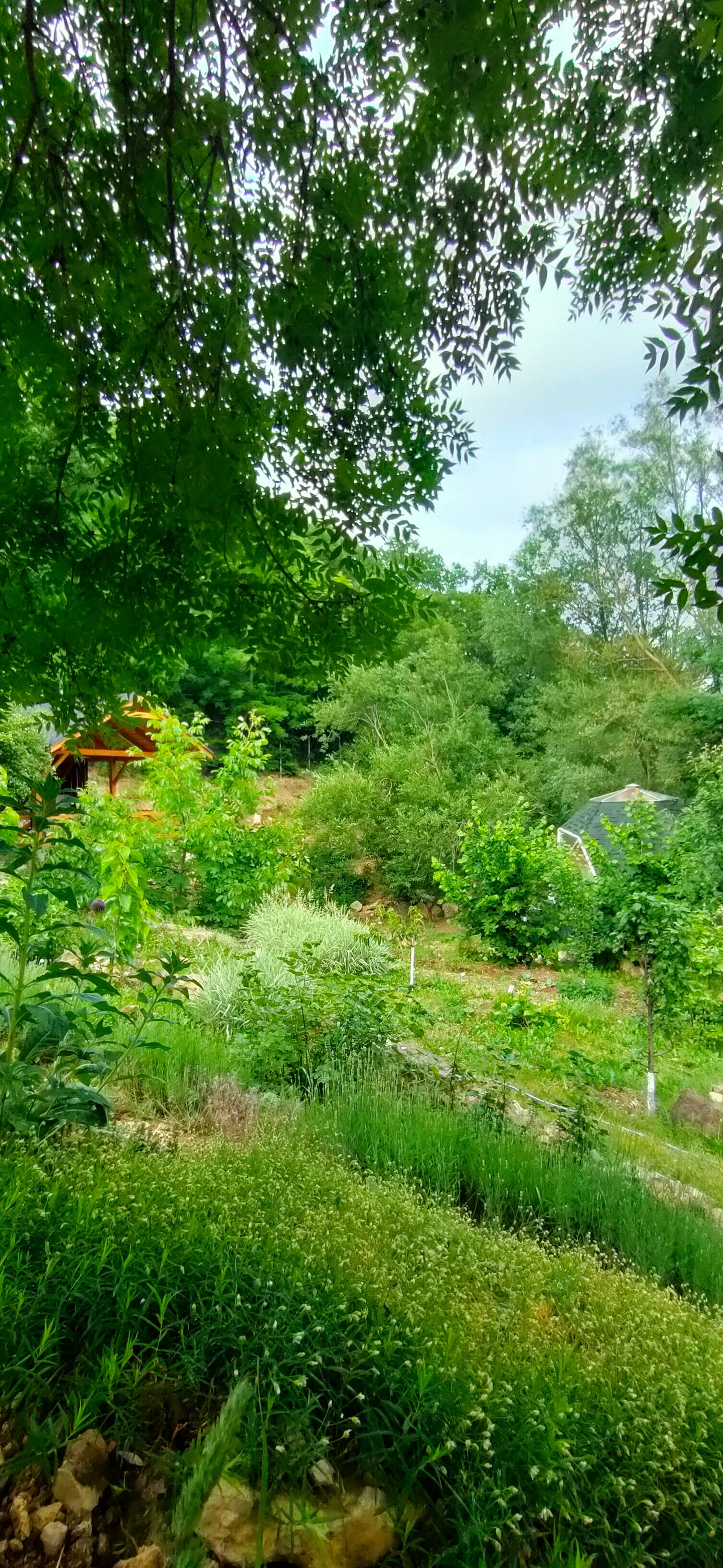 Фото Купольный домик в горах Крыма