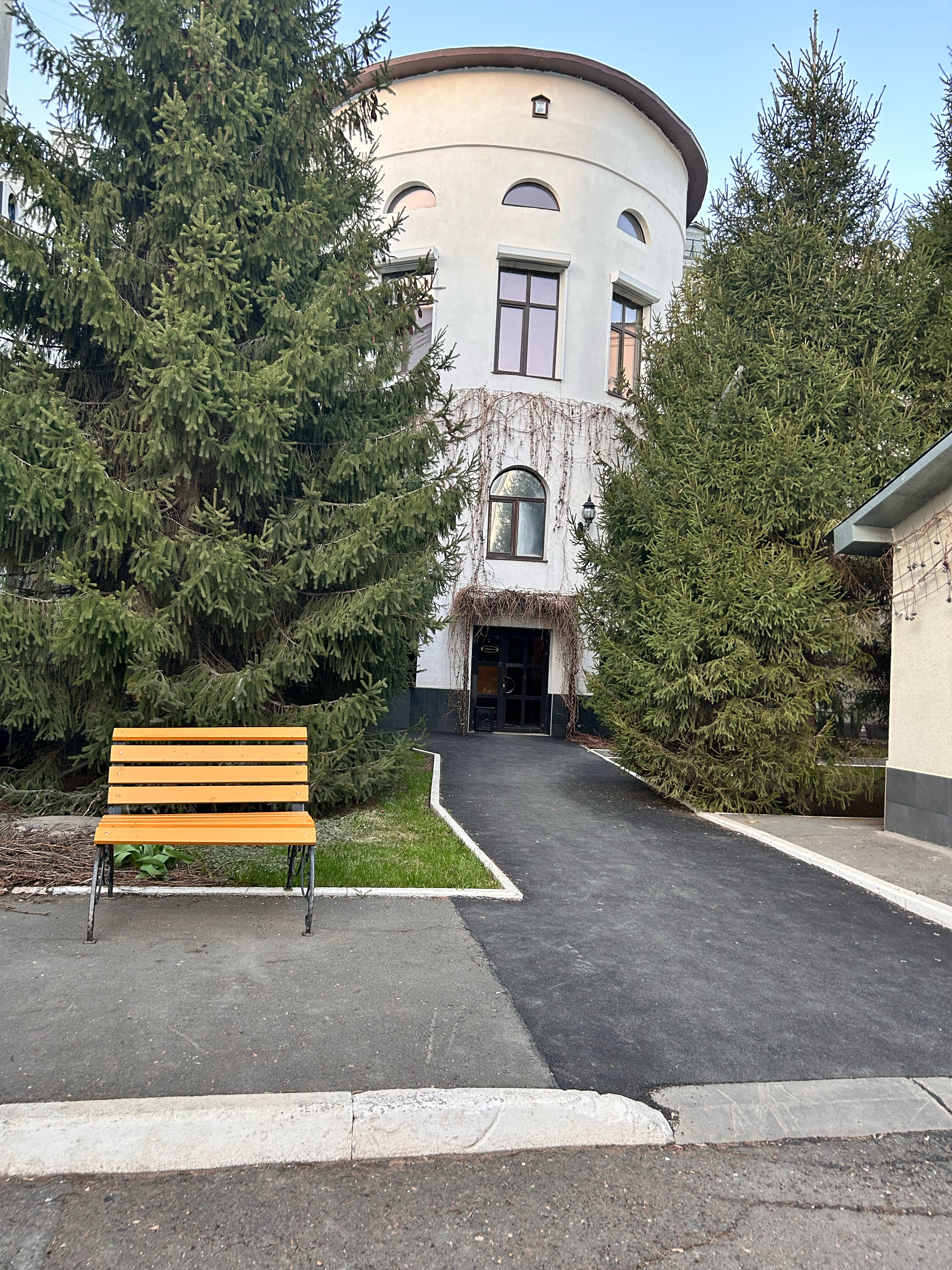 Фото Золотой слон