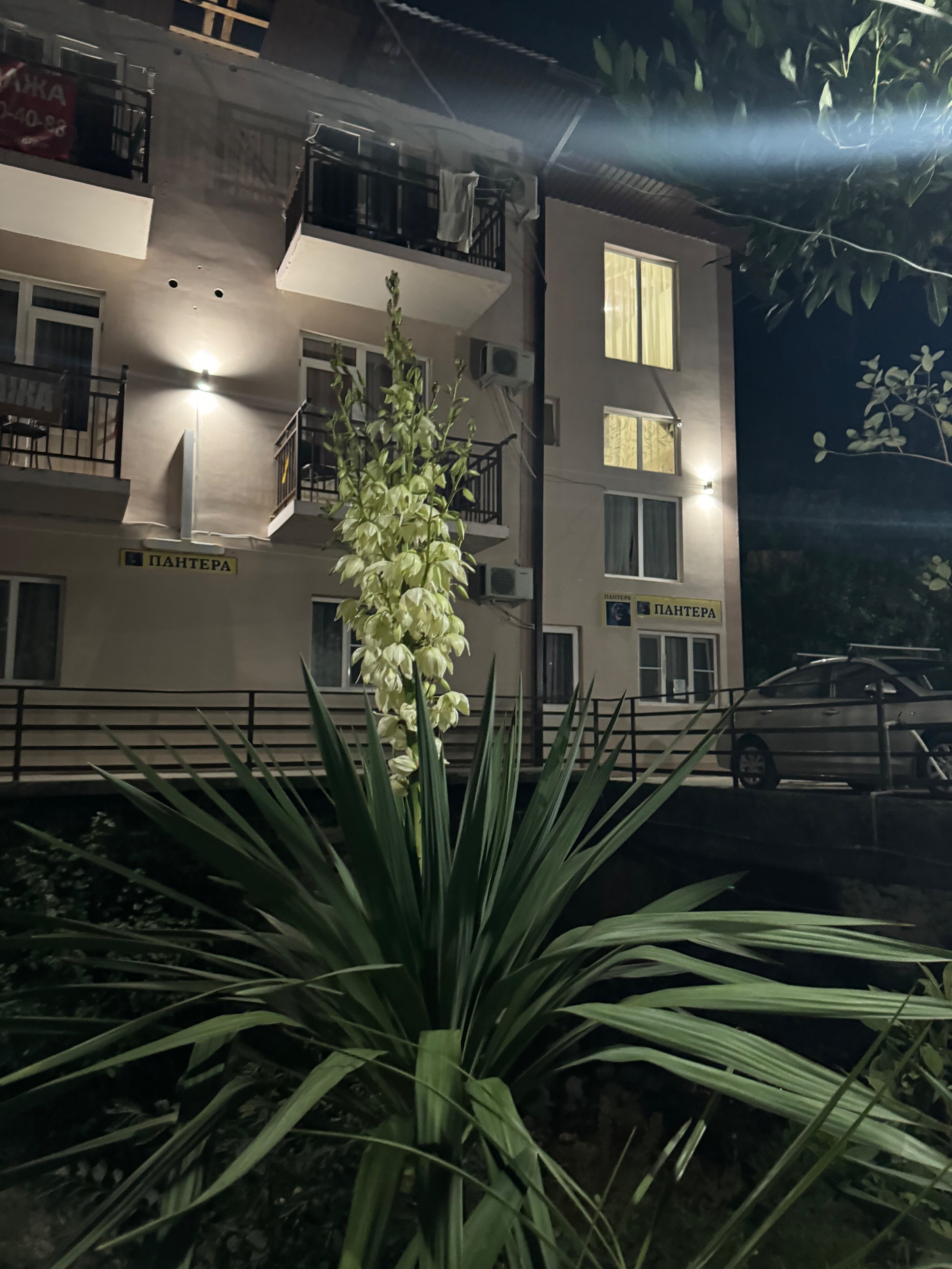 Фото Мини-отель Пантера