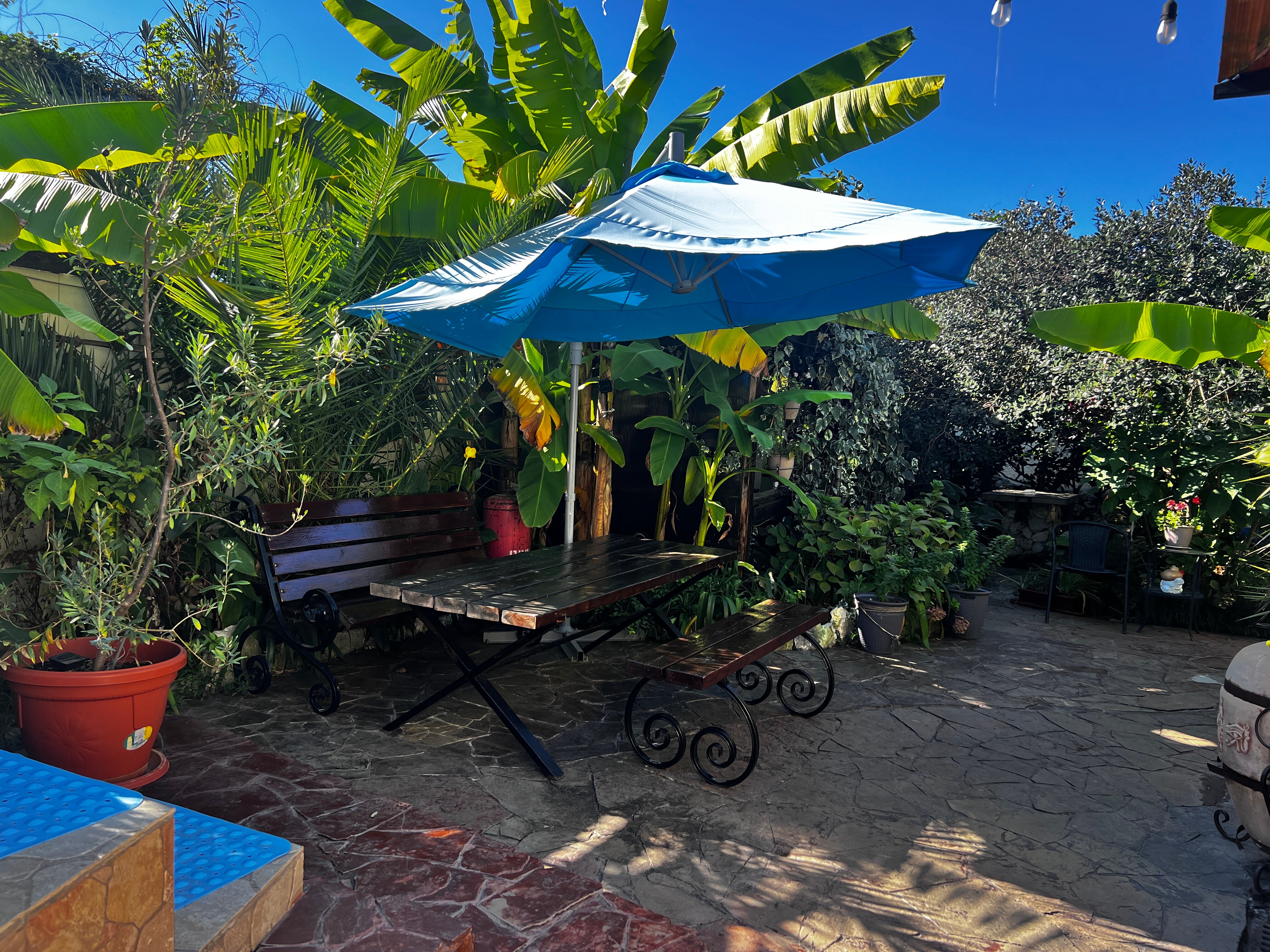 Фото У Палыча