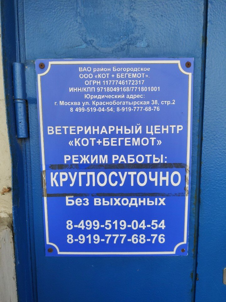 Кот+Бегемот - фото 19