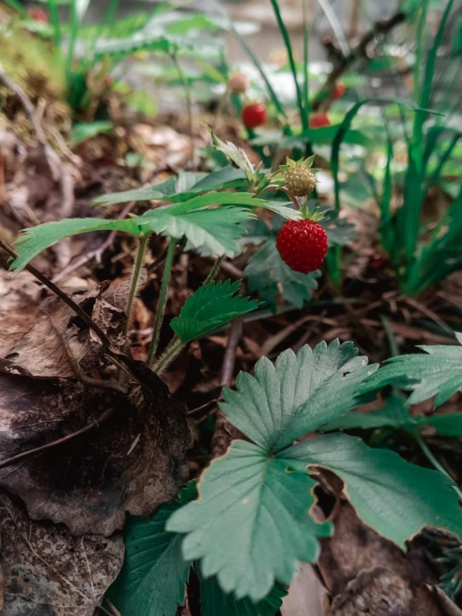 Фото Тихий Каньон