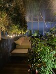 Umami (First Republic Square, 1), restaurant