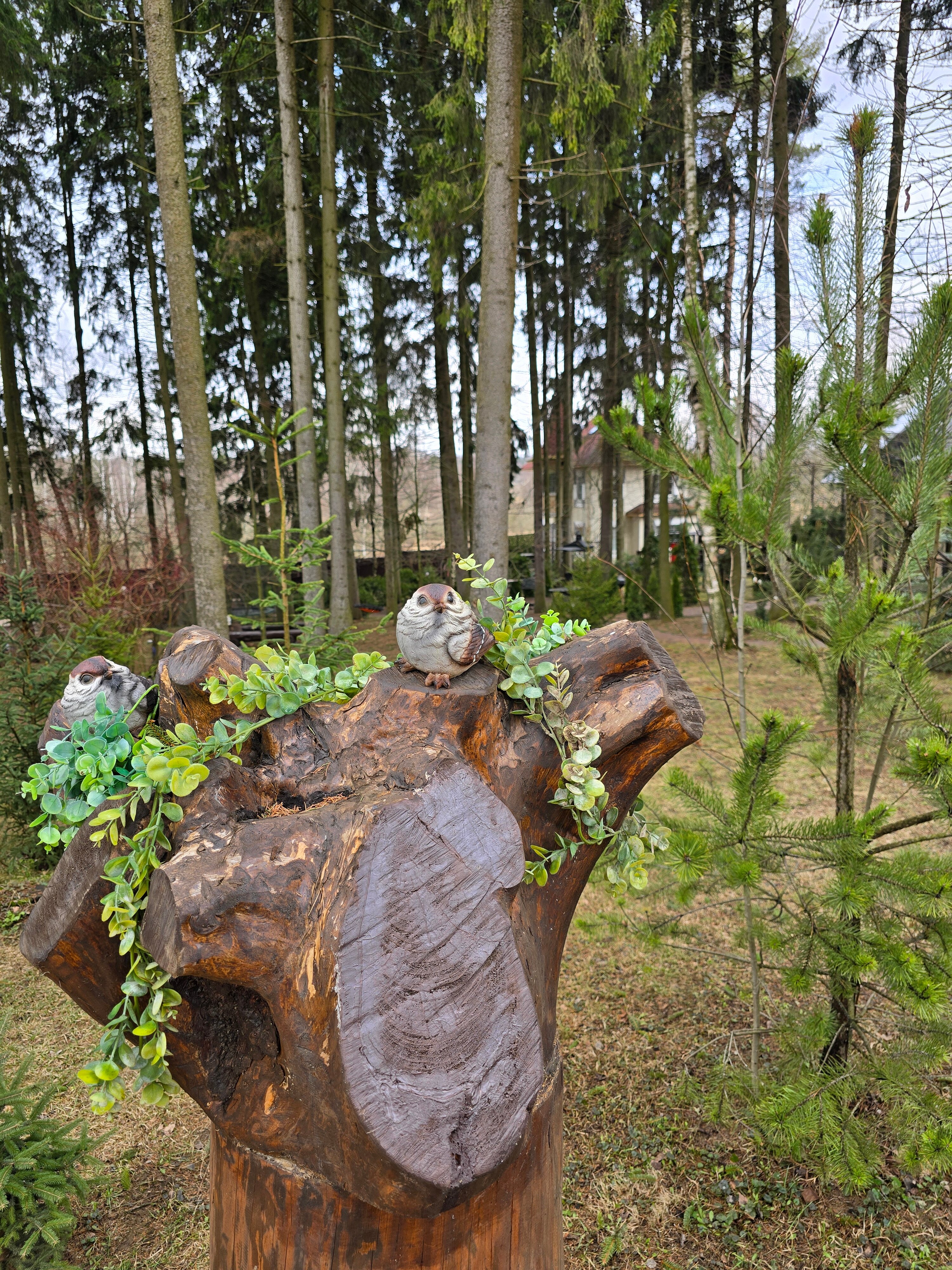 Фото Зеленый пейзаж