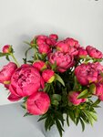 Rose-Novoross (ulitsa Samburova, 289А), floristeria