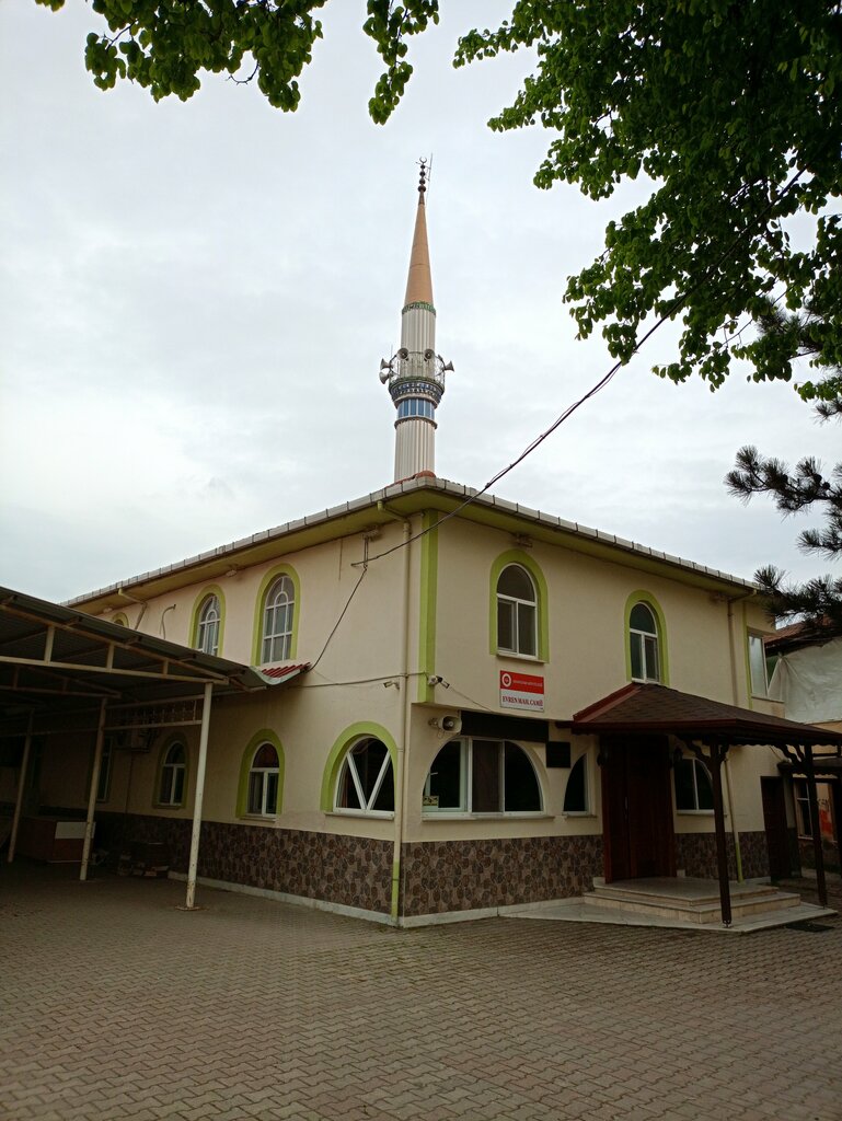 Mosque Evren Neighborhood Mosque, Adapazari, photo
