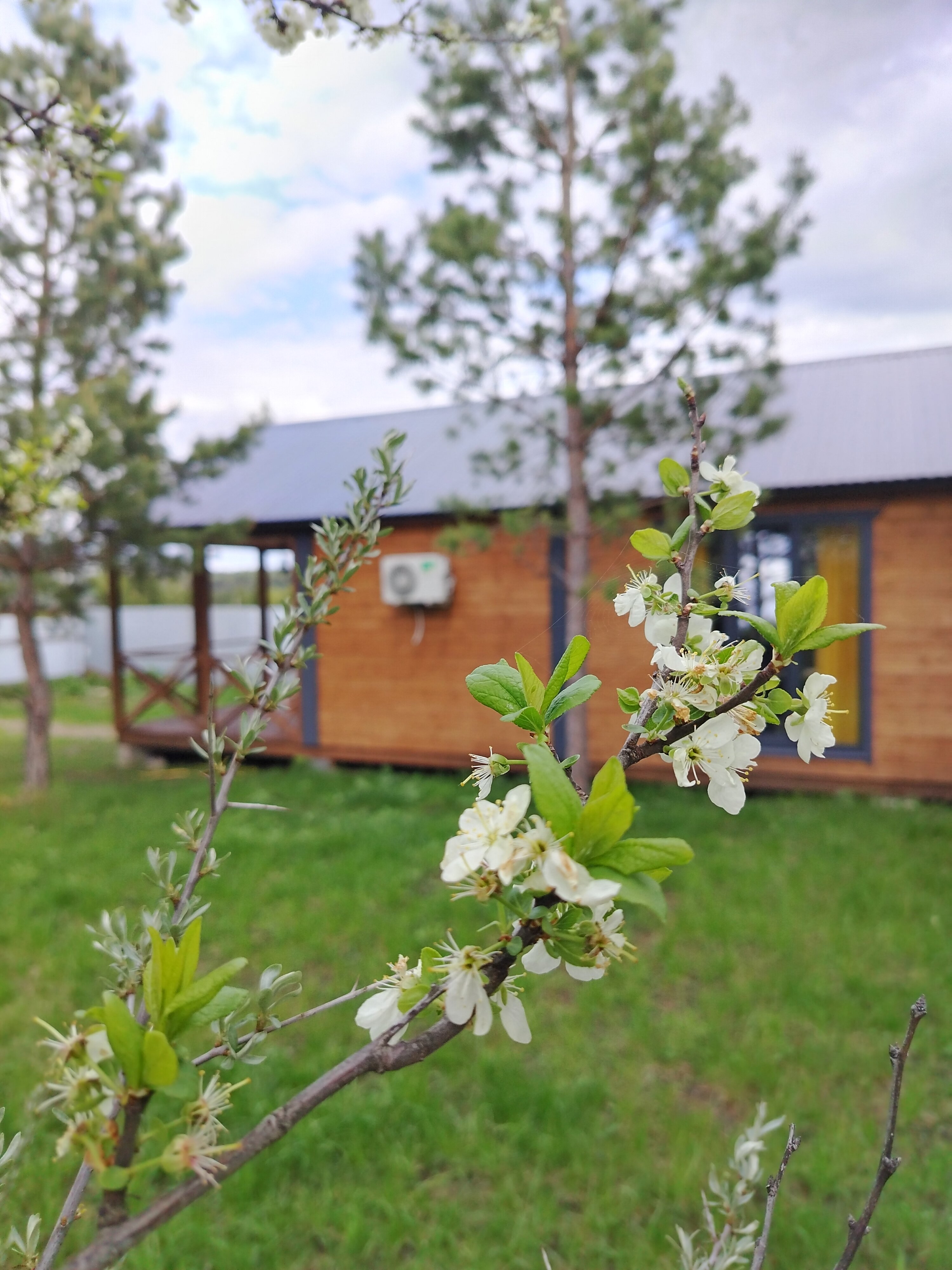 Фото Дом с душой