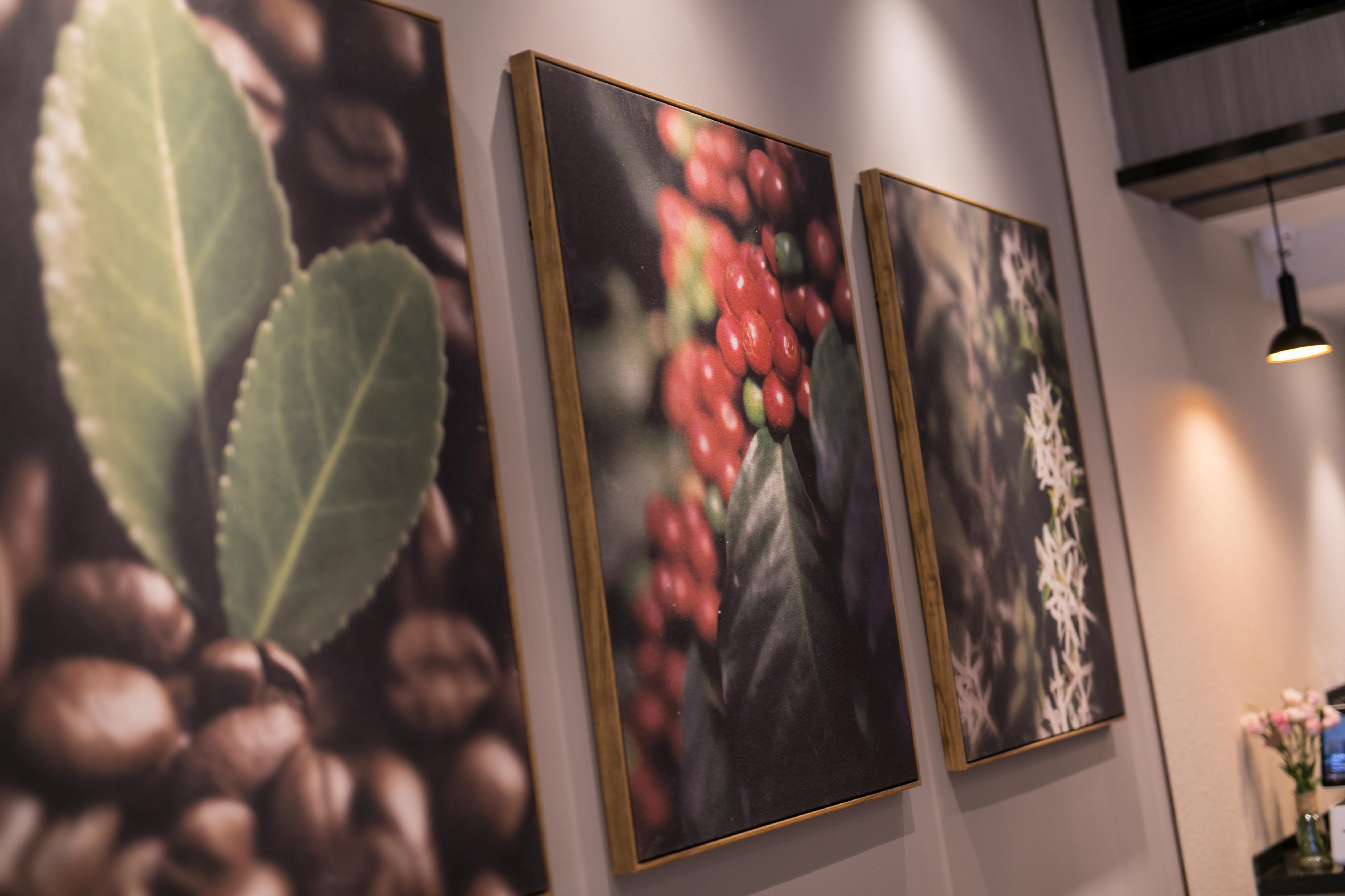 Фото Hanting Hotel Shanghai Zhongshan Park Branch 2