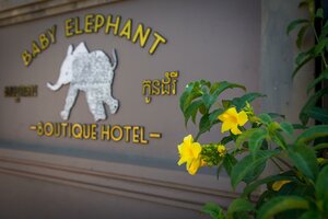 Гостиница Baby Elephant Boutique Hotel