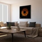 Elixirstudio (Eskisehir, Tepebasi District, Hosnudiye Neighborhood) ، استوديو التصوير