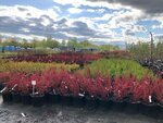 Agrofitek (selo Fedyakovo, Lugovaya ulitsa, 6А), garden center