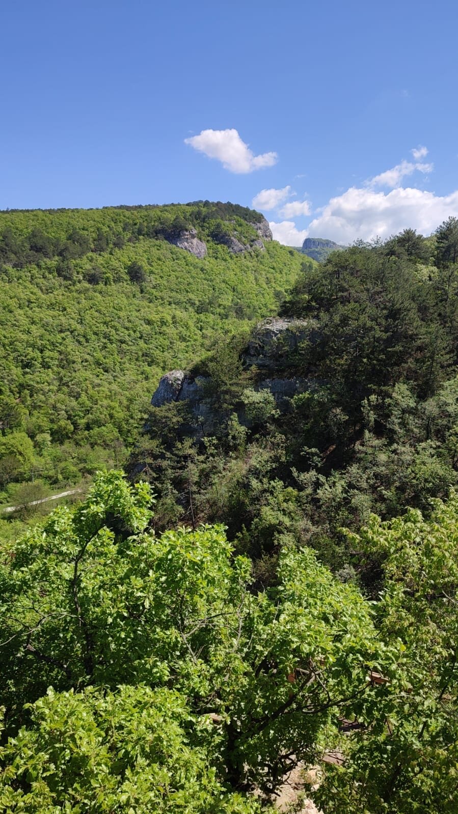 Фото Чаиръ сад в горах