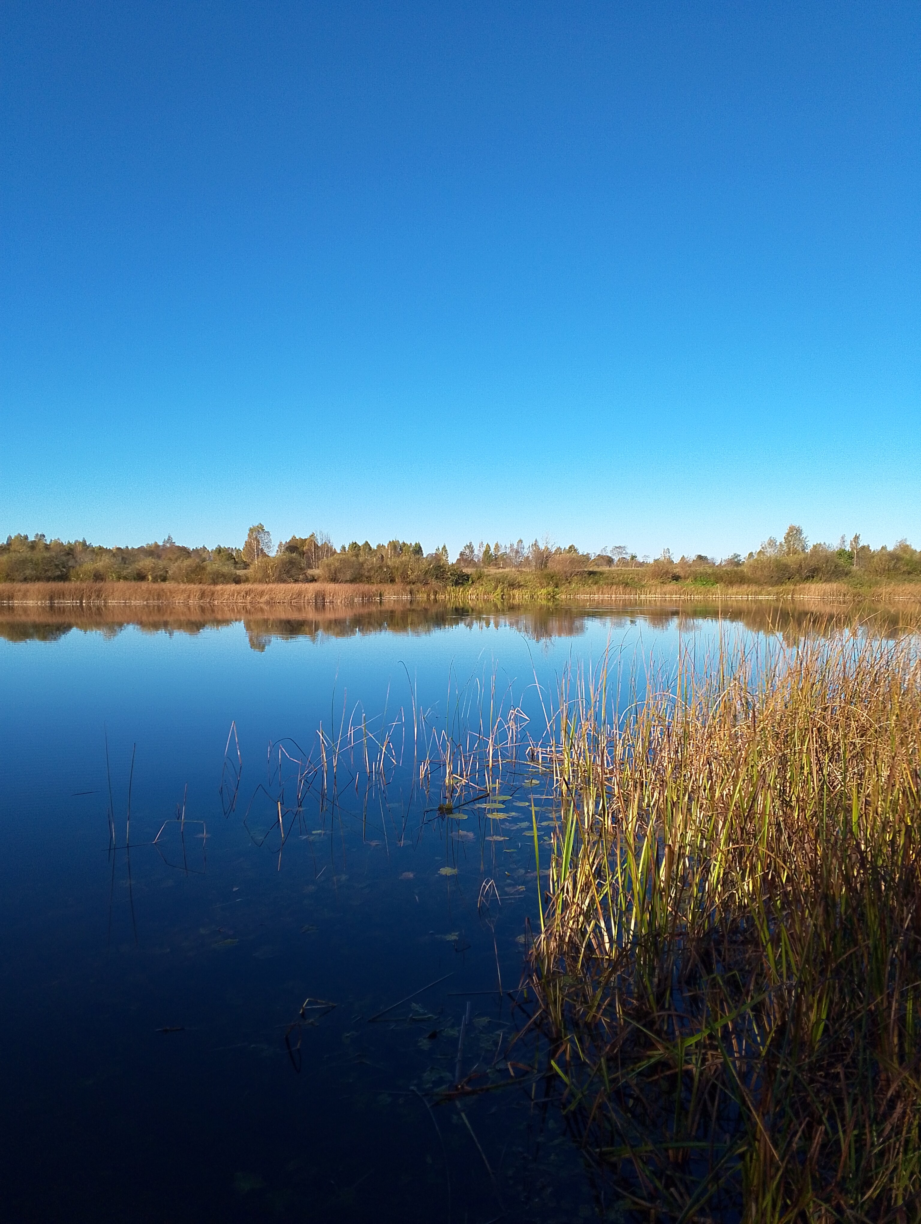 Фото Дом отдыха у реки Великой