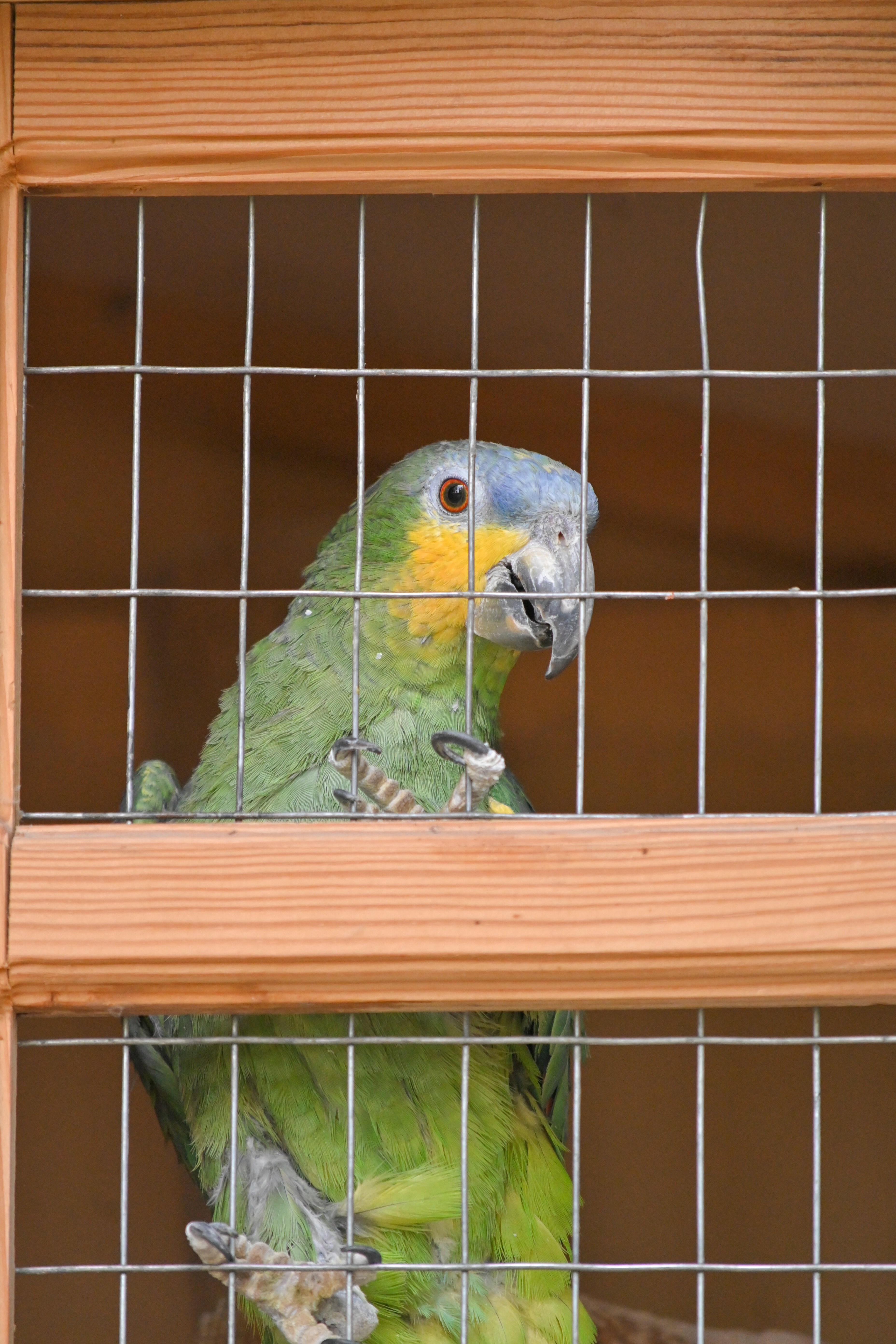 Фото Усадьба Ведрова