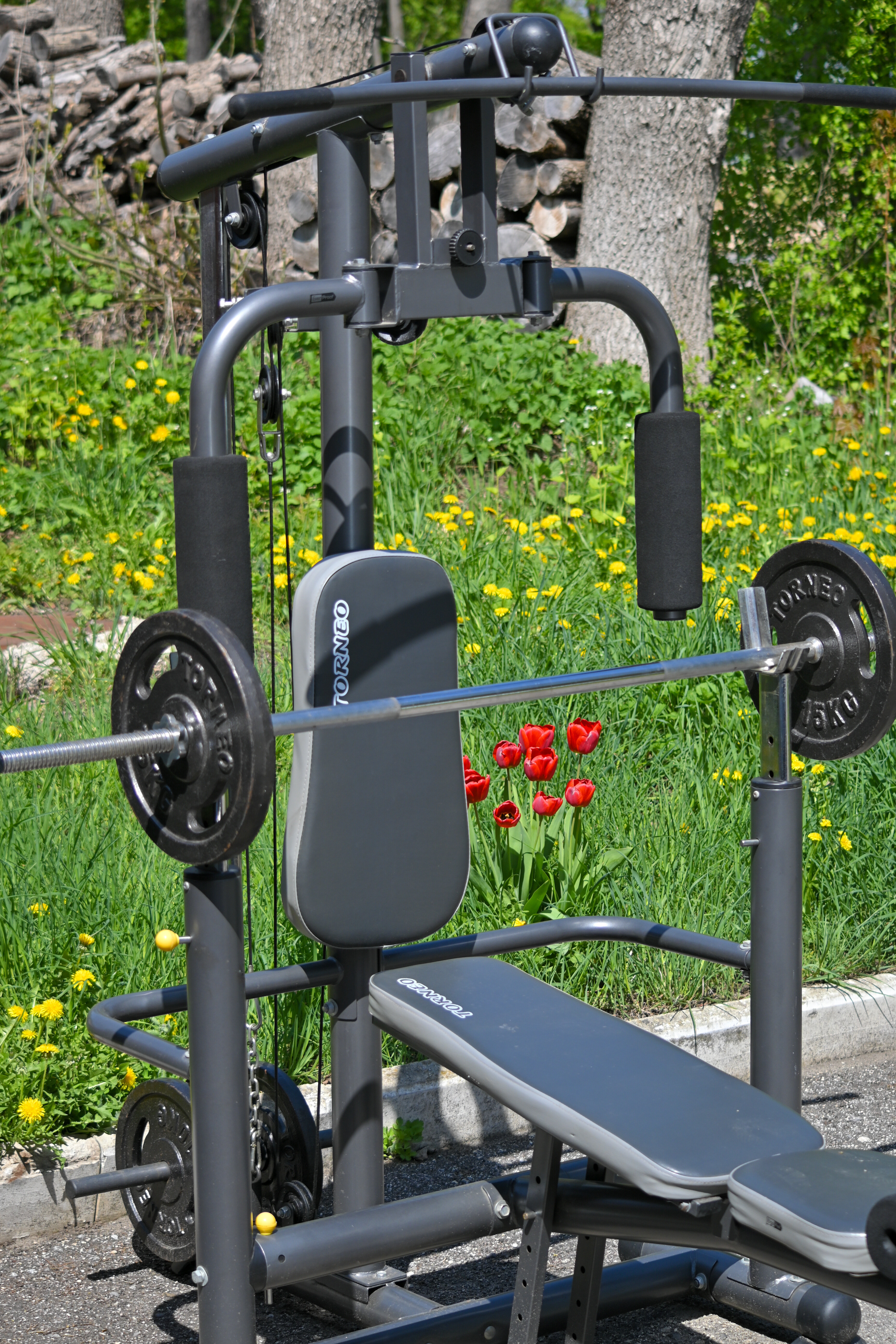 Фото Усадьба Ведрова