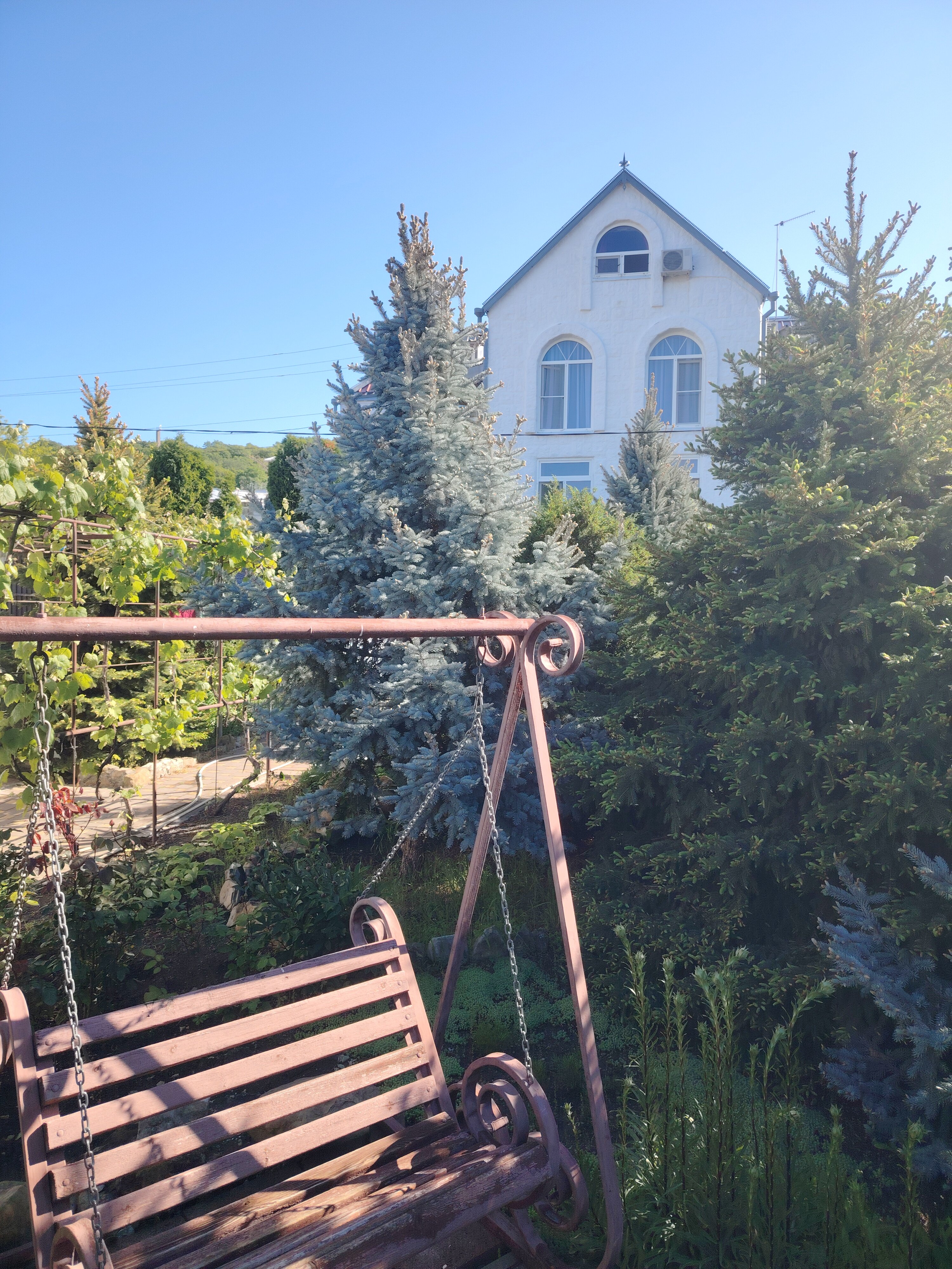 Фото Акварель