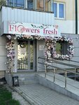 Flowers Fresh (Polezhaeva Street, 52) ، محل زهور