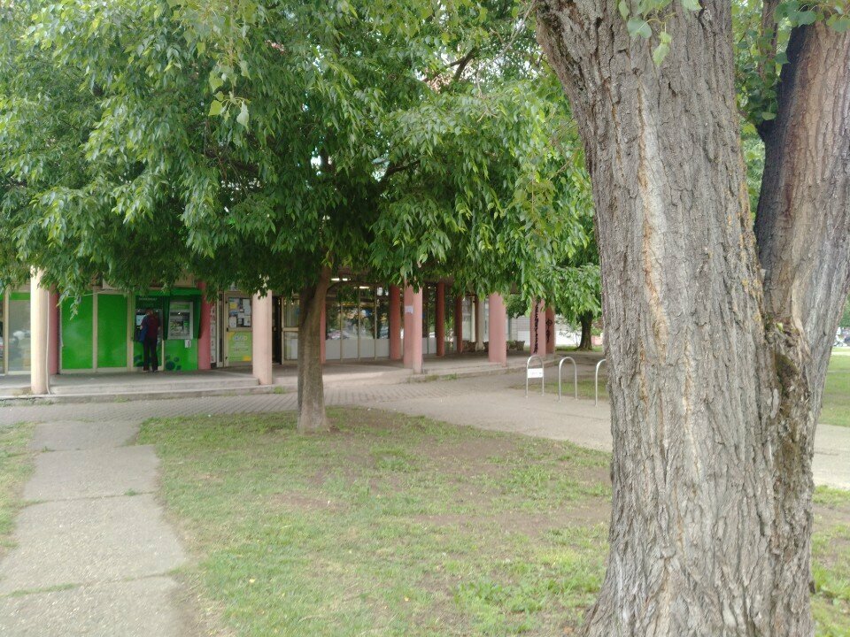 Psychotherapist Rebt Centar, Novi Sad, photo