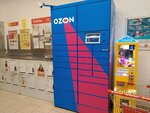 Ozon Box (Bolshaya Sadovaya ulitsa, 166), servicio postamat