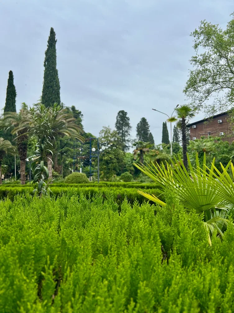 Фото Парк-отель Черноморец