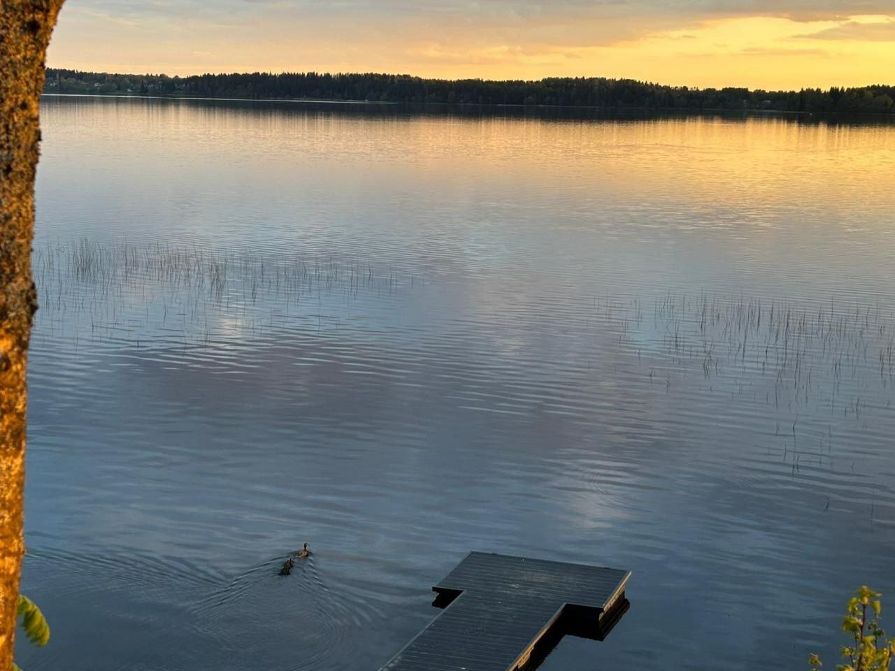 Фото Сердце Селигера