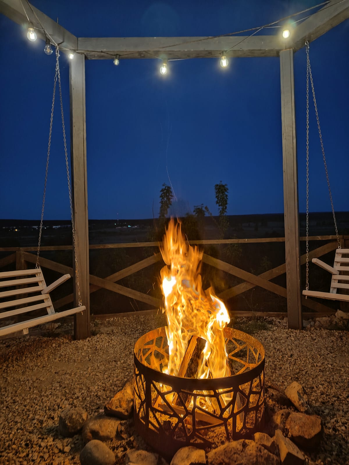 Фото Снегирь