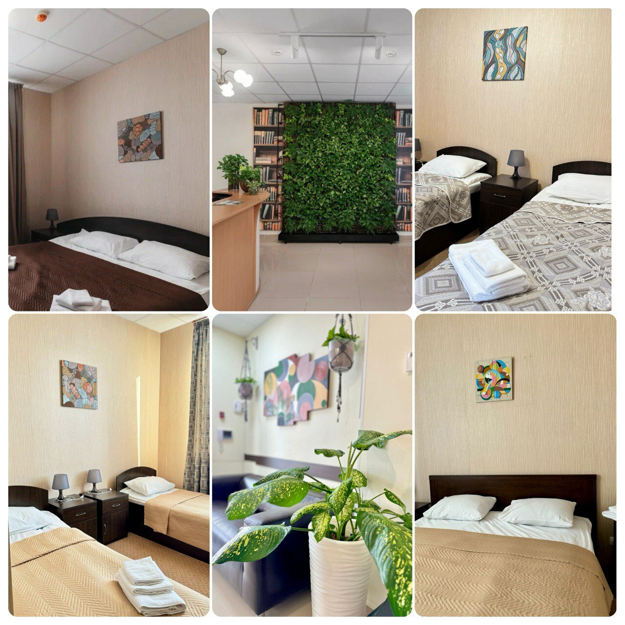 Фото Континенталь Green Dream