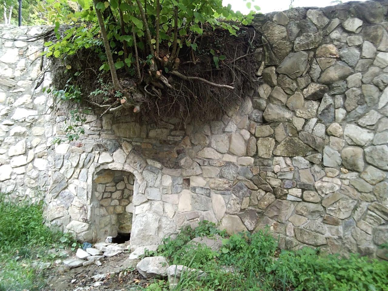 Фото Forest Club