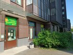 Программирование для детей Coddy (Visherskaya Street, 2), further education