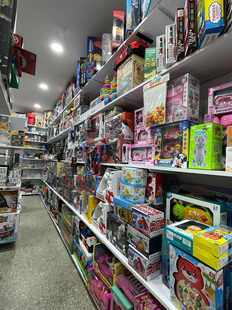 Toys and games Toyzone, Yerevan, photo