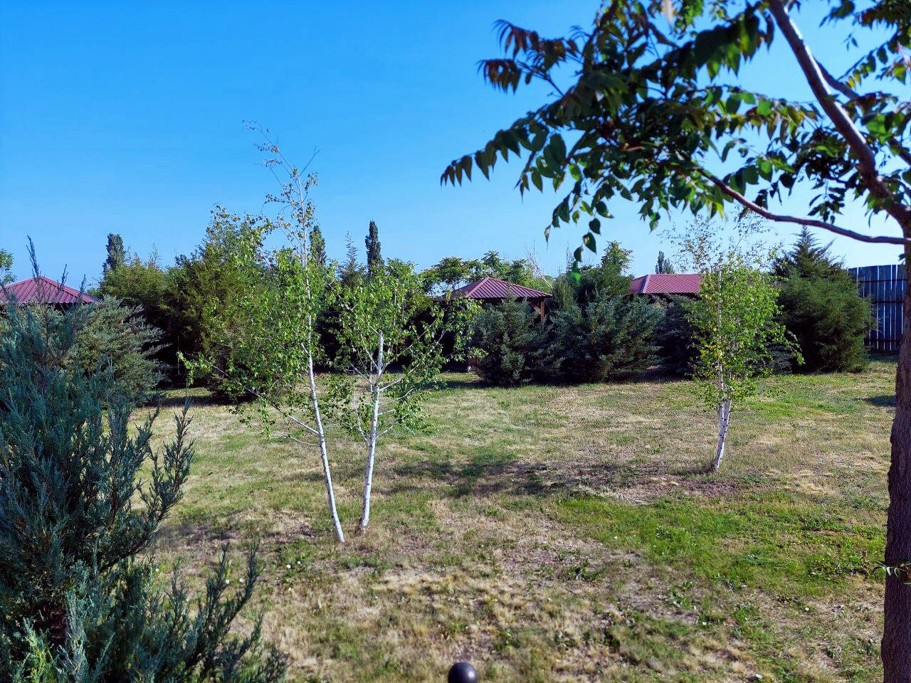 Фото У Реки