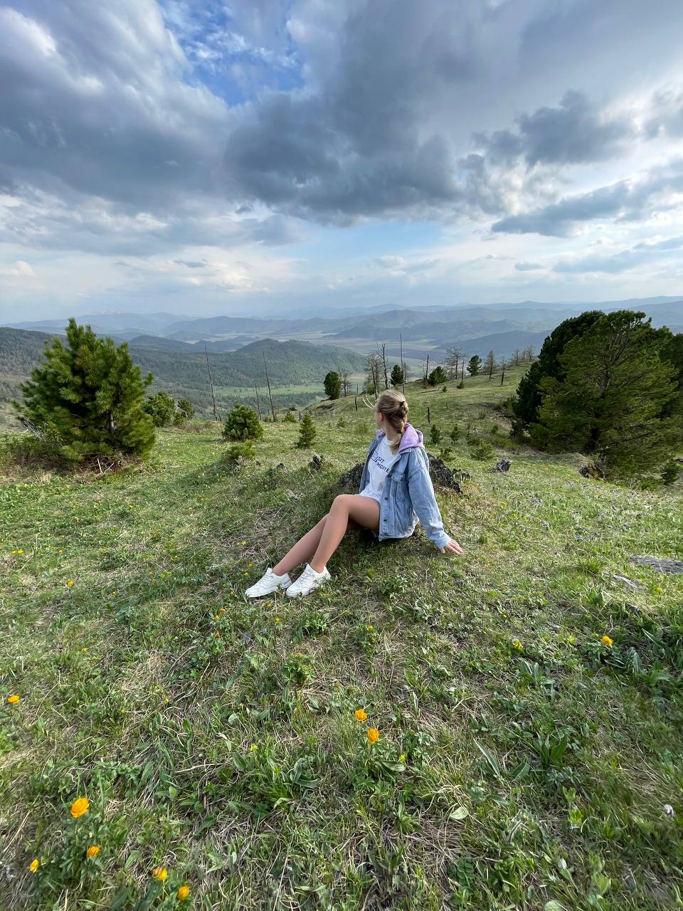 Фото Дикий Еж