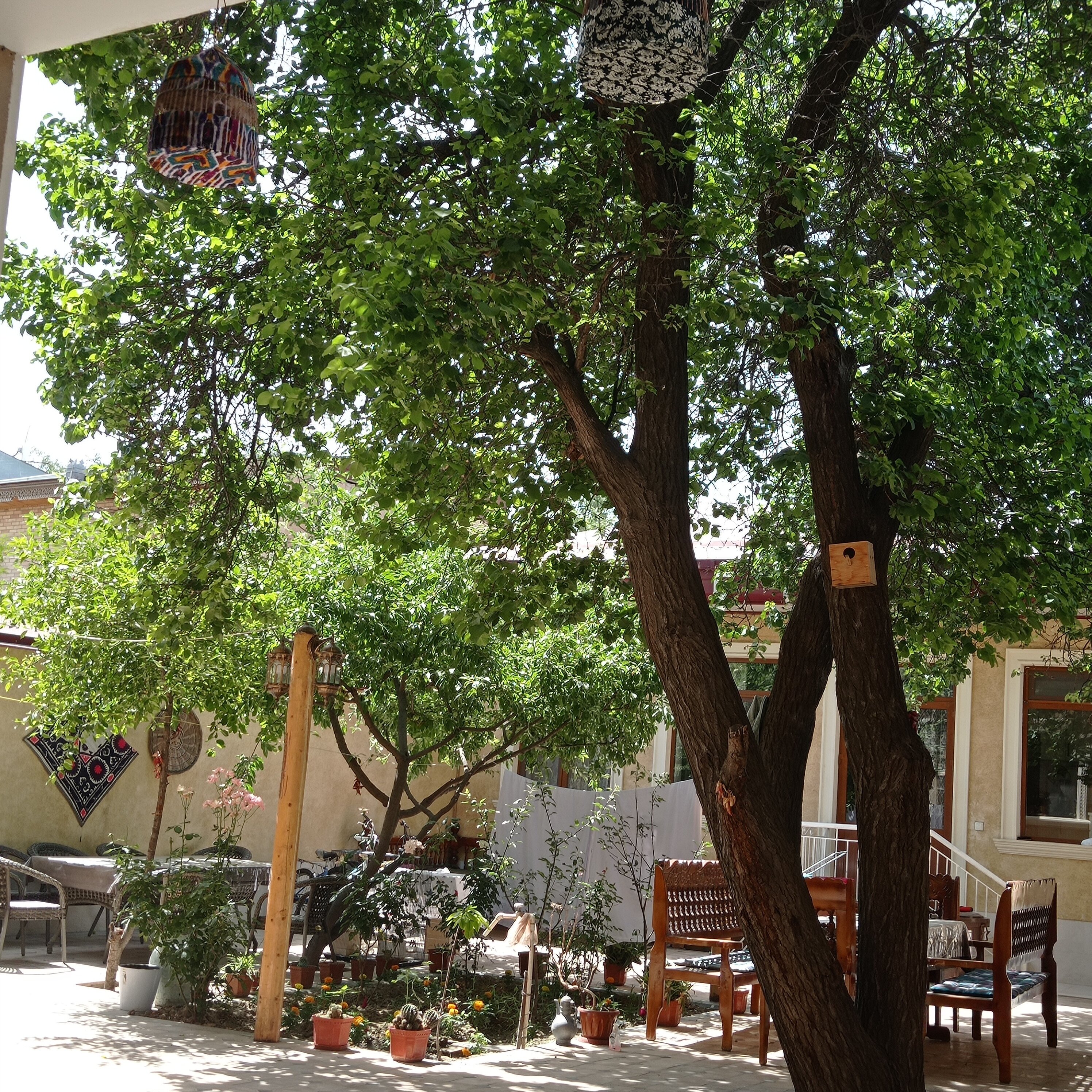 Фото Darvozai Samarkand