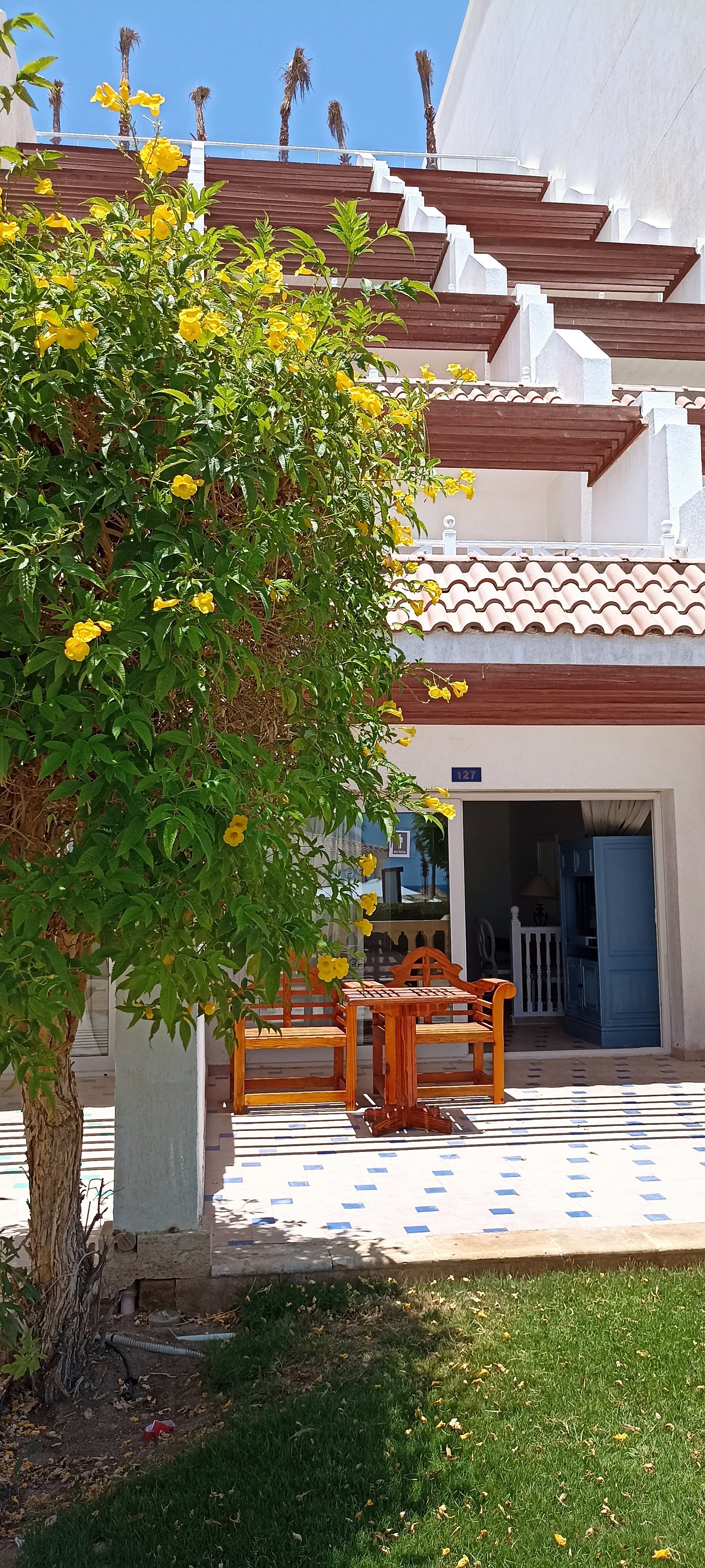 Фото Sheraton Sharm Hotel, Resort, Villas & Spa