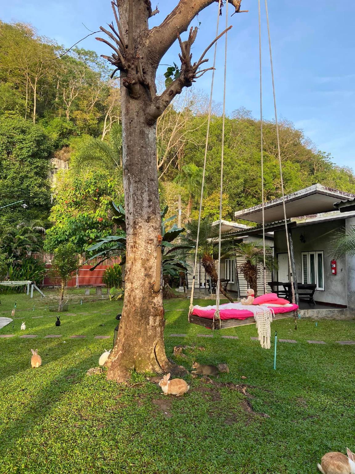 Фото V Valley Resort