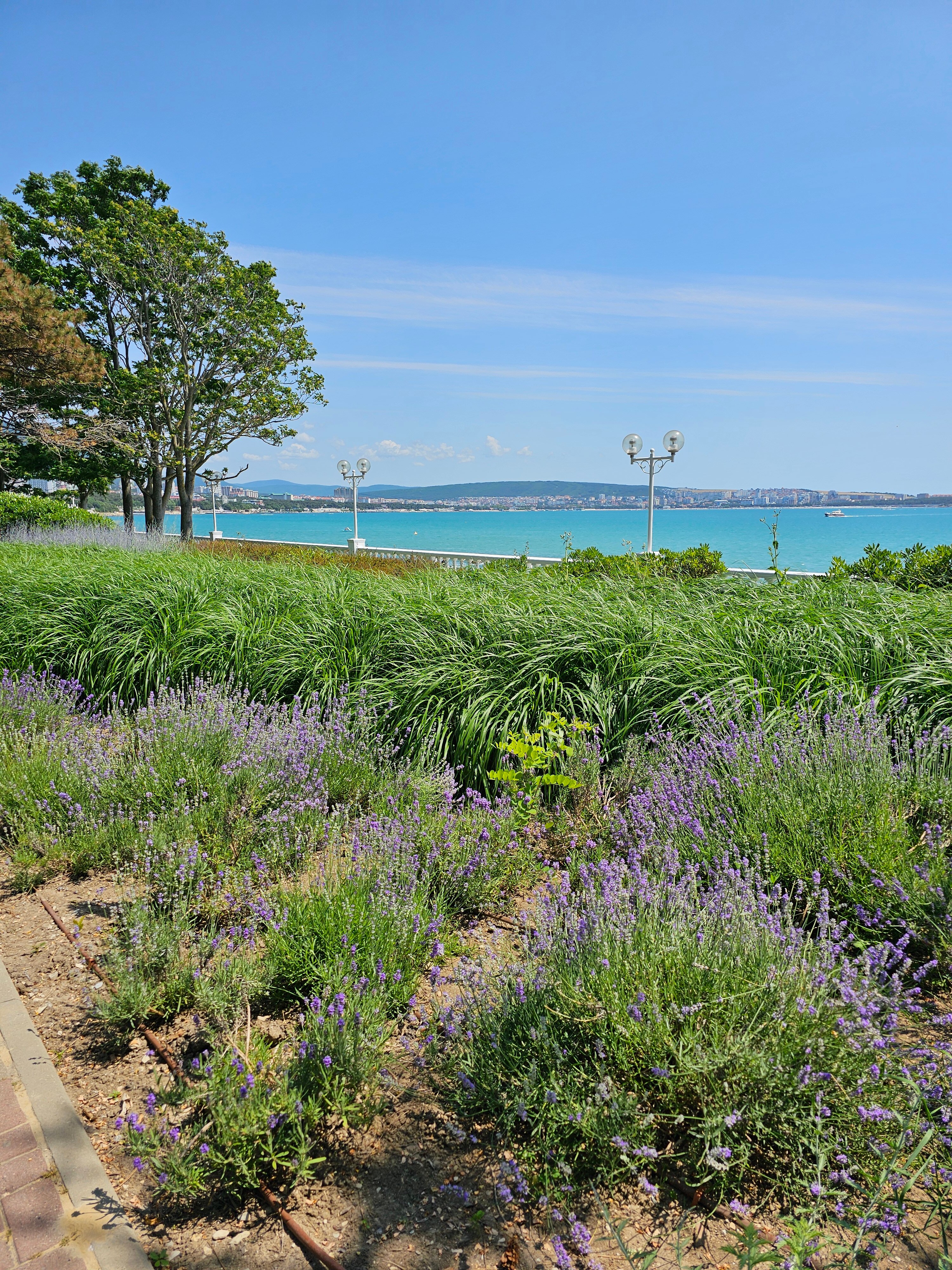 Фото Marine Palace