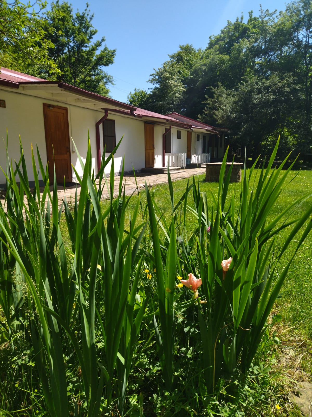 Фото Поляна Убинская