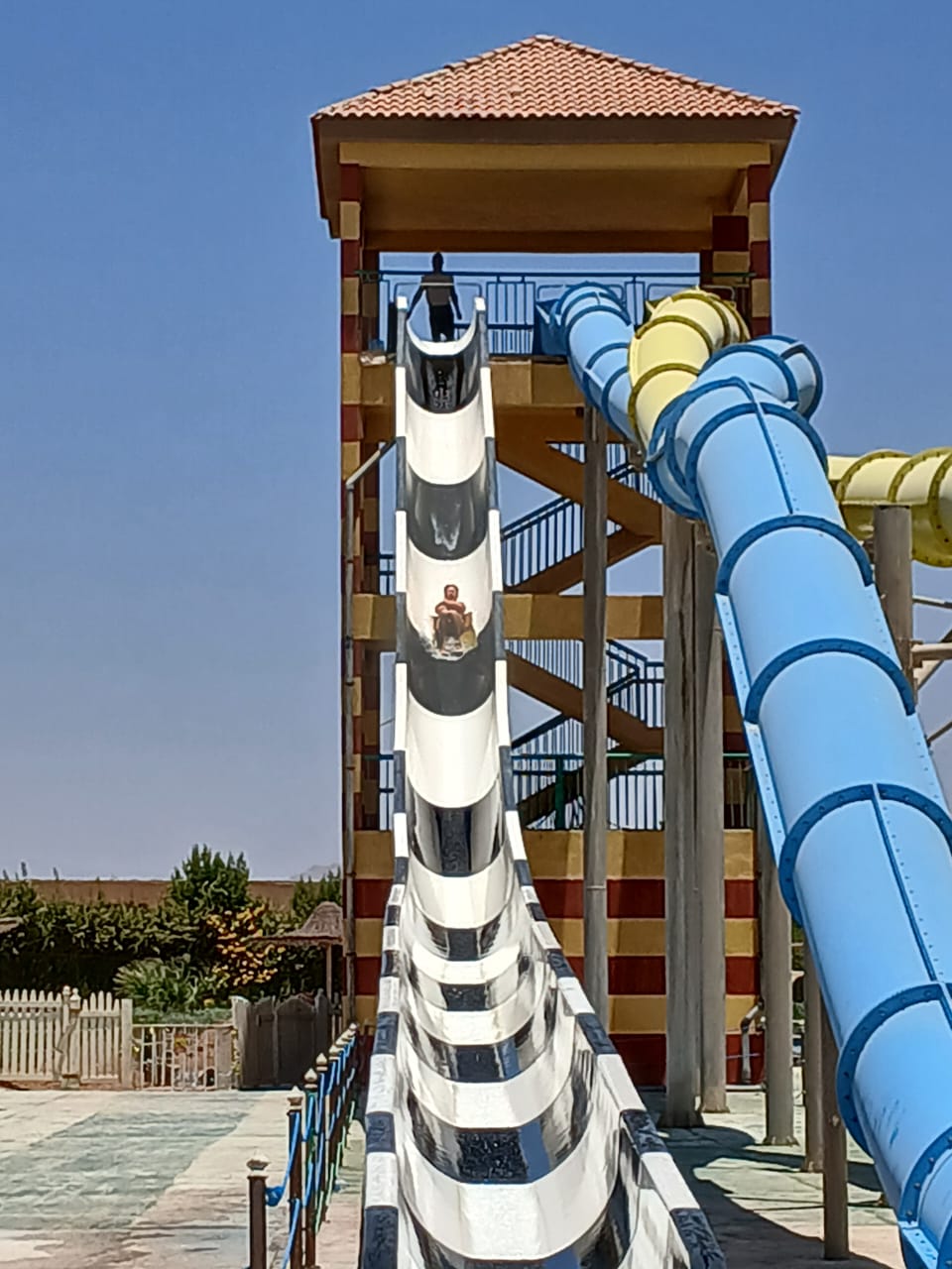 Фото Parrotel Lagoon Waterpark Resort