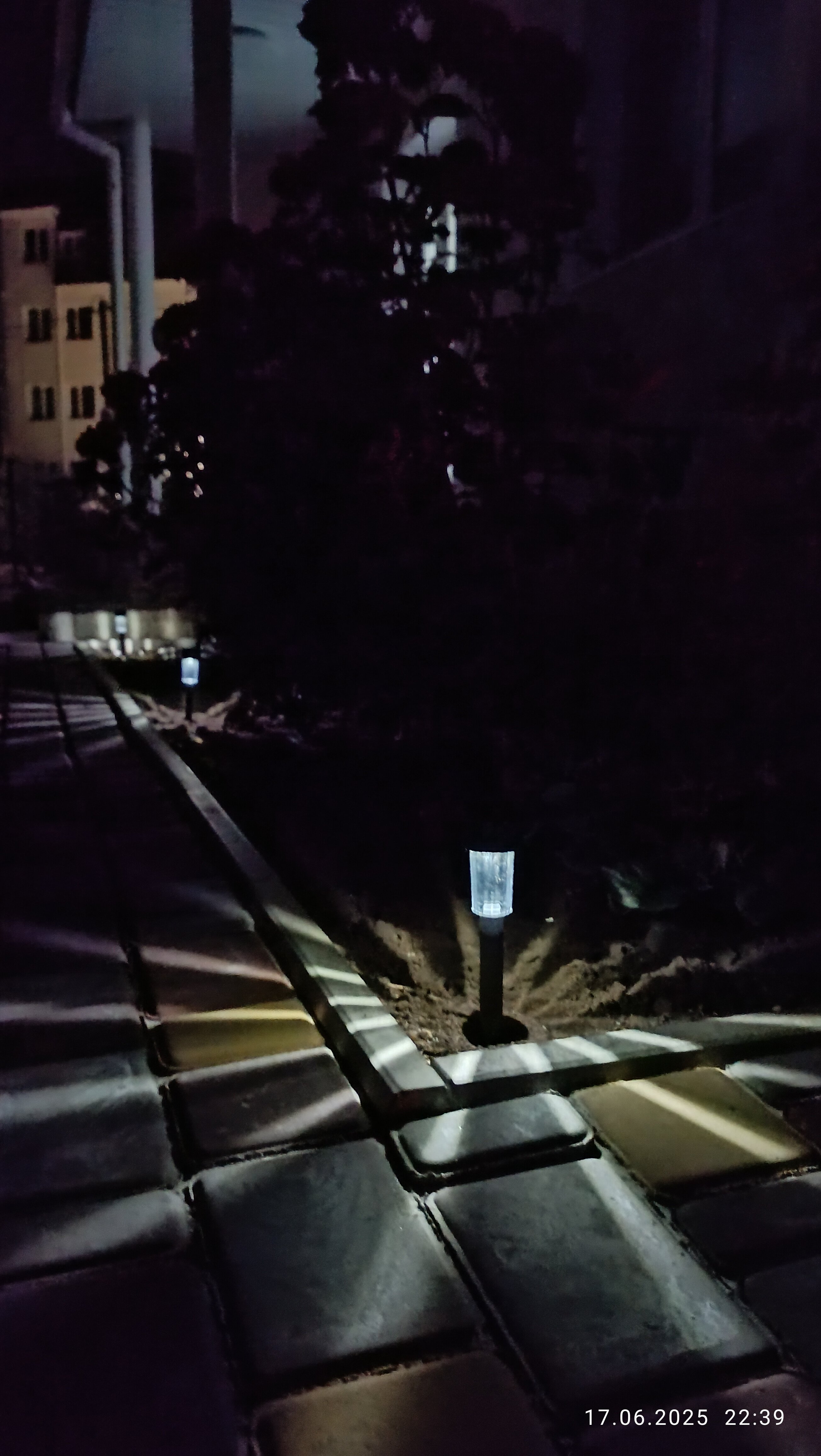 Фото Селена