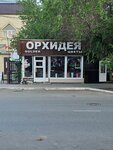 Orhideia (Shamshi Kaldayakov Street, 27В), flower shop
