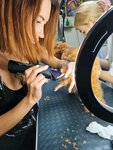 Pro Grooming Dogs (Yermaka Street, 11), pet salon